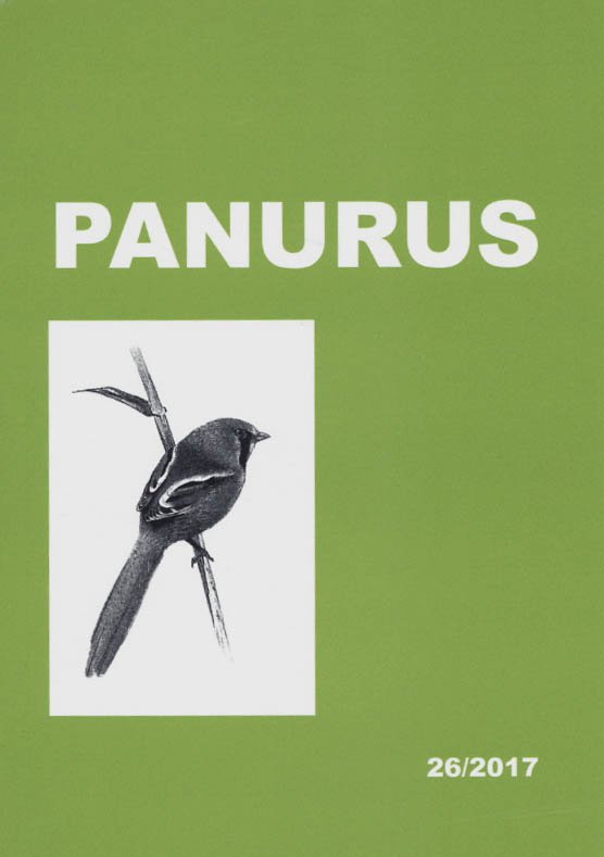 Panurus 26